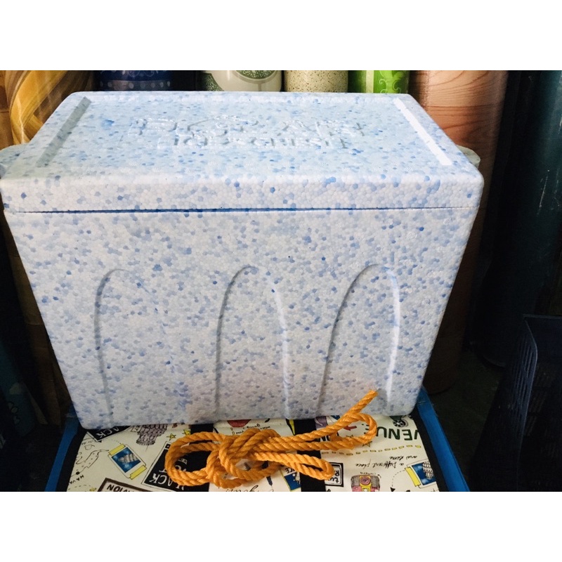 Styro Box Cooler Polar Box Shopee Philippines