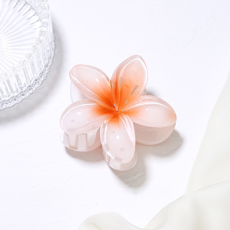 Fashion Flower Hair Clips Girls Acrylic Hairpin Summer Beach Women Hair ...