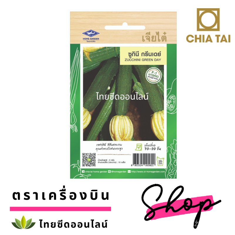 เมล็ดอวบอ้วน100%เมล็ดพันธุ์ สควอชกรีนเดย์ ซูกินี่ ตราเจียไต๋ Zucchini ...