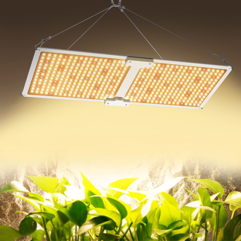 1000W Grow Light LM281B LED Sunlike Quantum Grow Lamp for Greenhouse ...