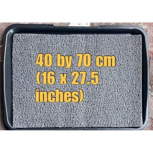 Disinfectant Mat with Tray (40 by 70 cm) Shopee Philippines