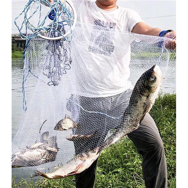 Guava nets are very cheaper, catch more fish than general nets ...