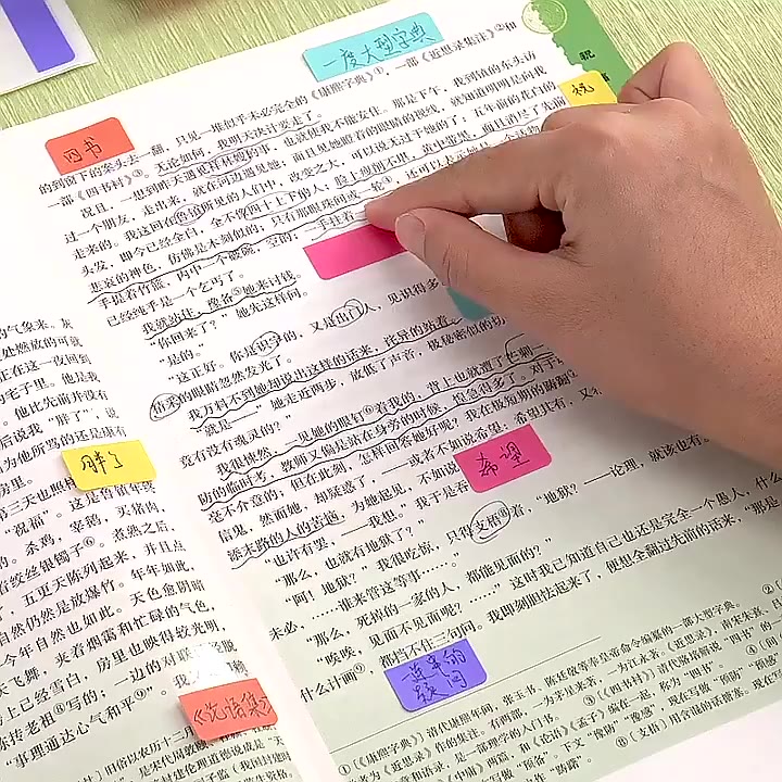 Index Label Stickers Fluorescent Sticky Notes Loose-Leaf Paper ...