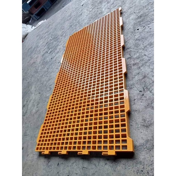 Plastic Matting 2ftx4ft/Goat Matting HEAVY DUTY COLORED ONLY Shopee
