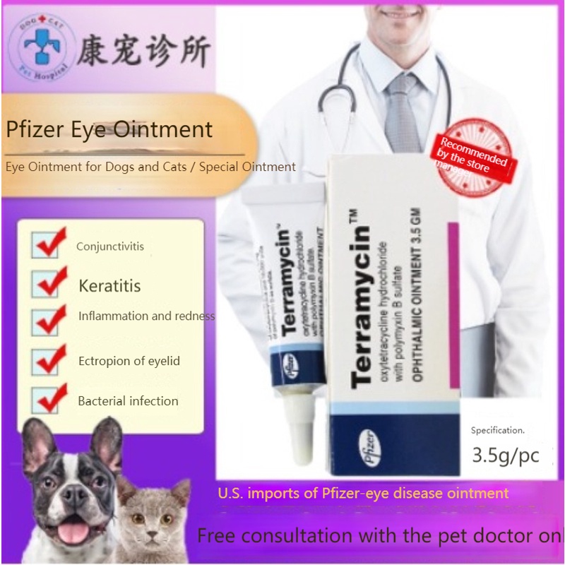 Eye cream for dogs with clearance conjunctivitis