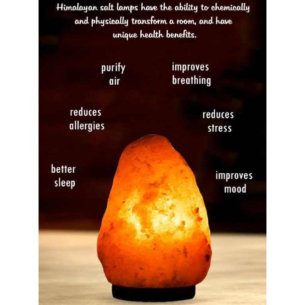 Himalayan salt lamp deals shade