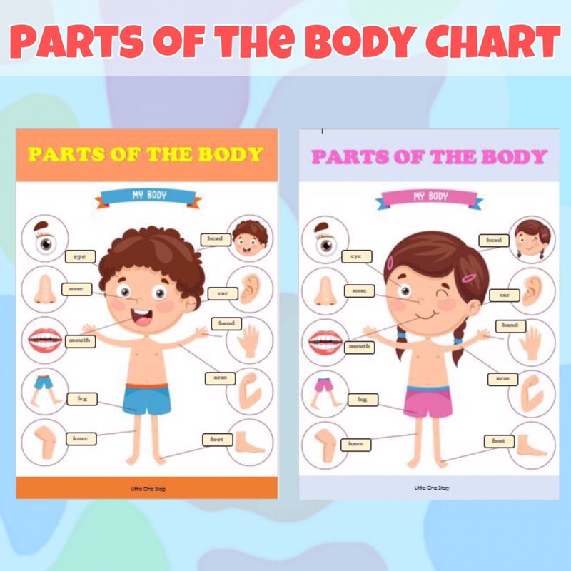 parts-of-the-body-charts-for-kids-and-babies-shopee-philippines