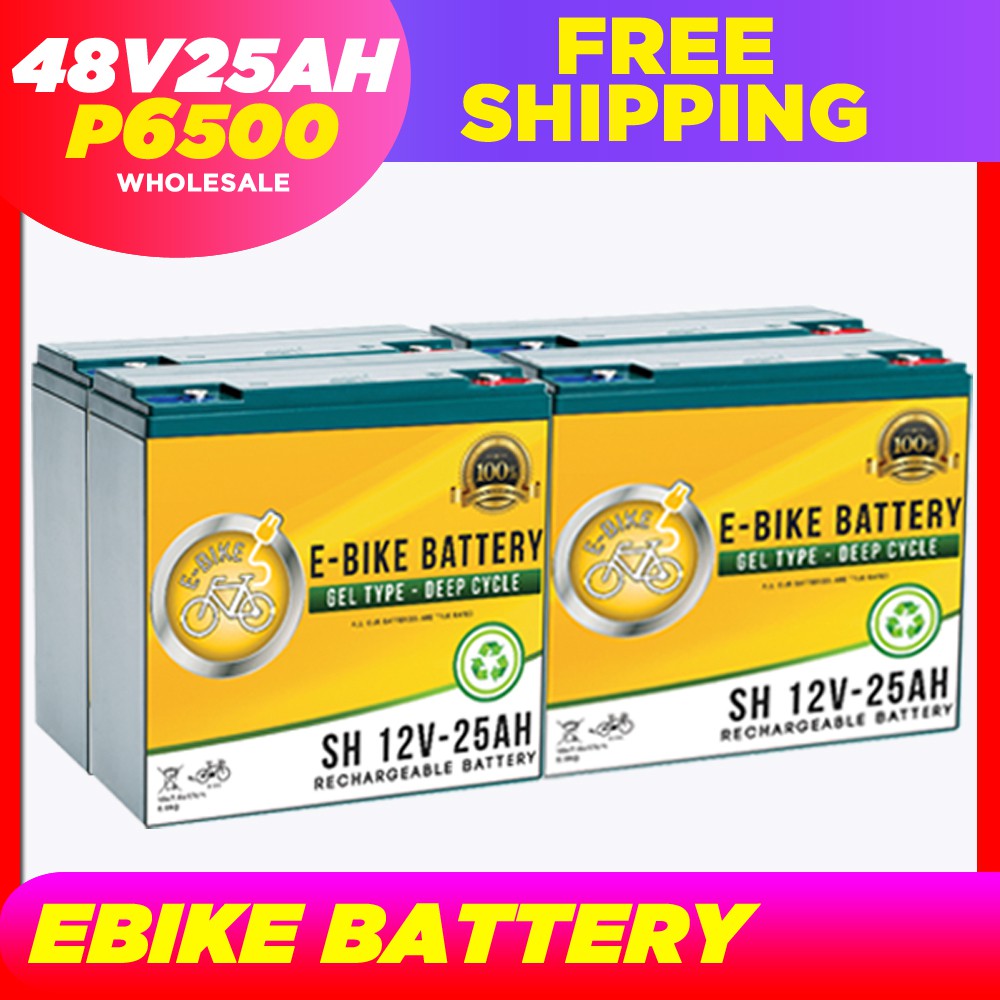 Kenwei ebike hot sale battery price