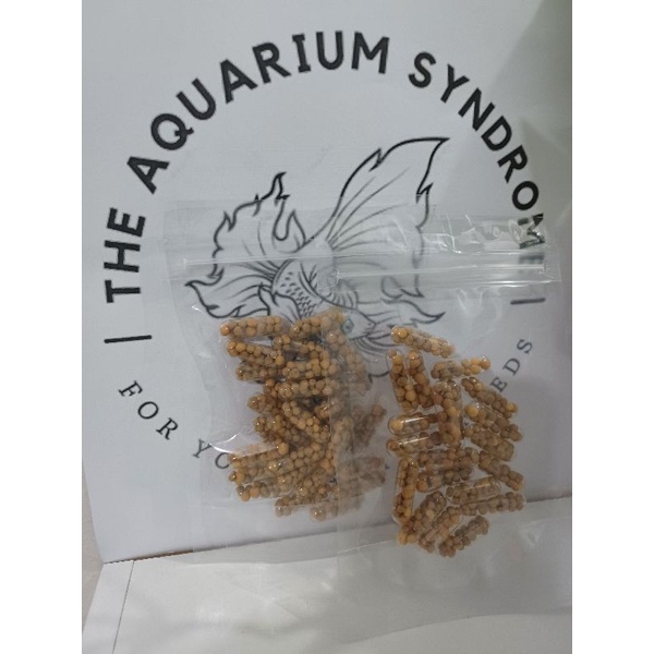 Osmocote fertilizer 14.14.14 controlled release or root tab for planted