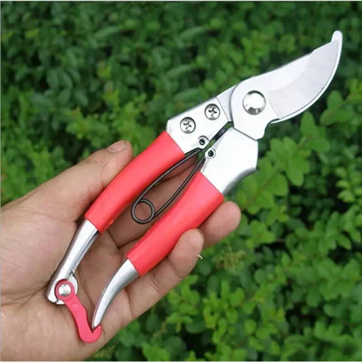 Plant deals cutting scissors