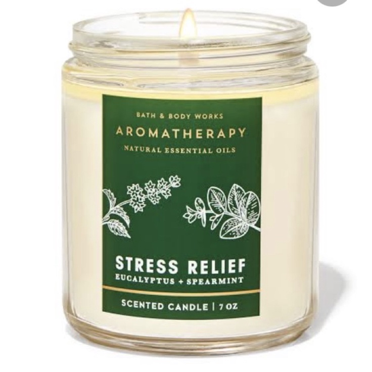 Bath and Body Works STRESS RELIEF EUCALYPTUS SPEARMINT Single Wick