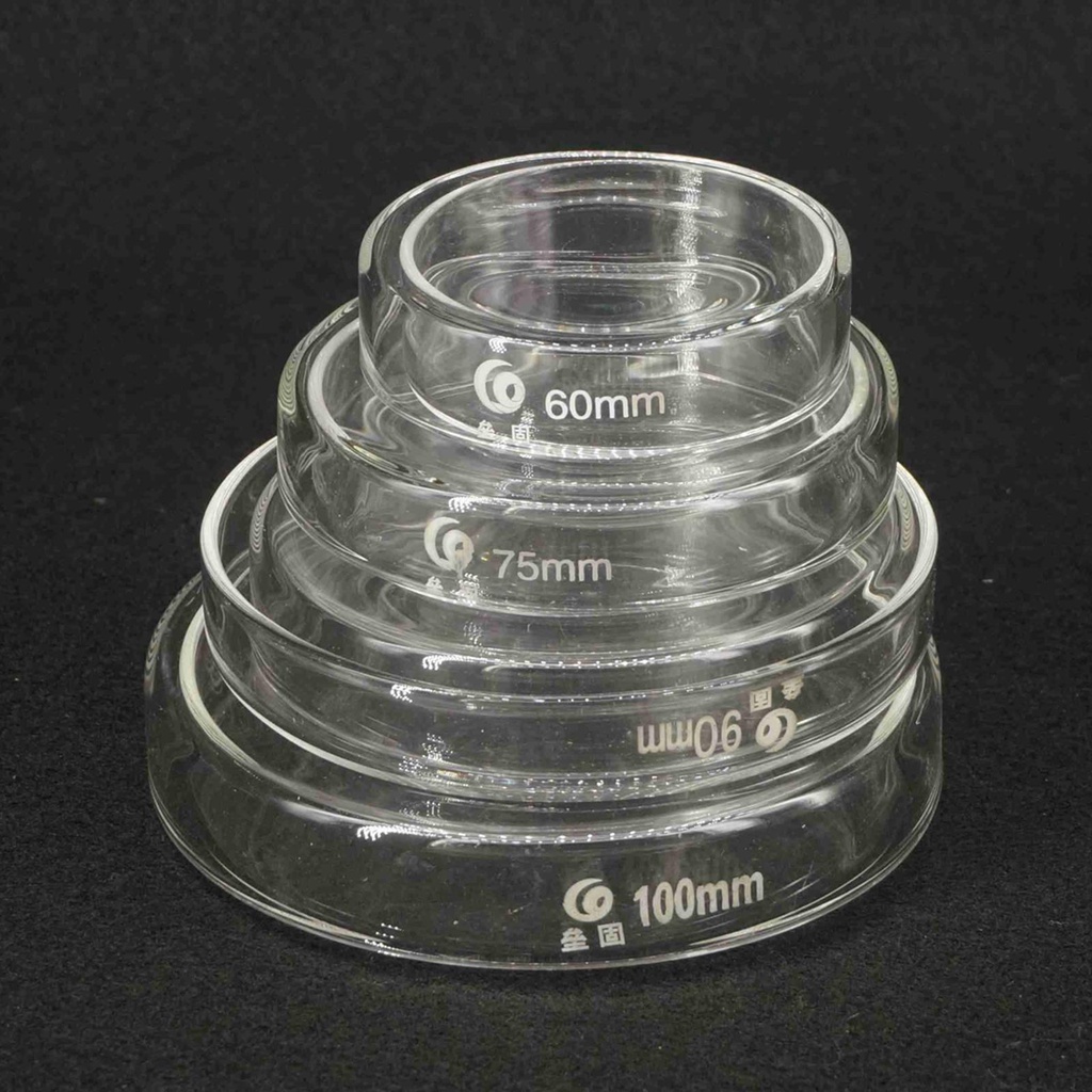 60/75/90/100/120mm with Lids Laboratory Bacterial Yeast Borosilicate ...