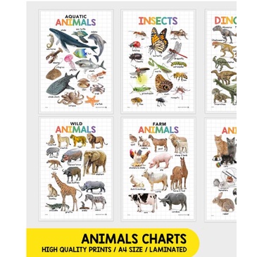 SCIENCE: Animals & Insects Educational Chart sold by 3s (3 different ...