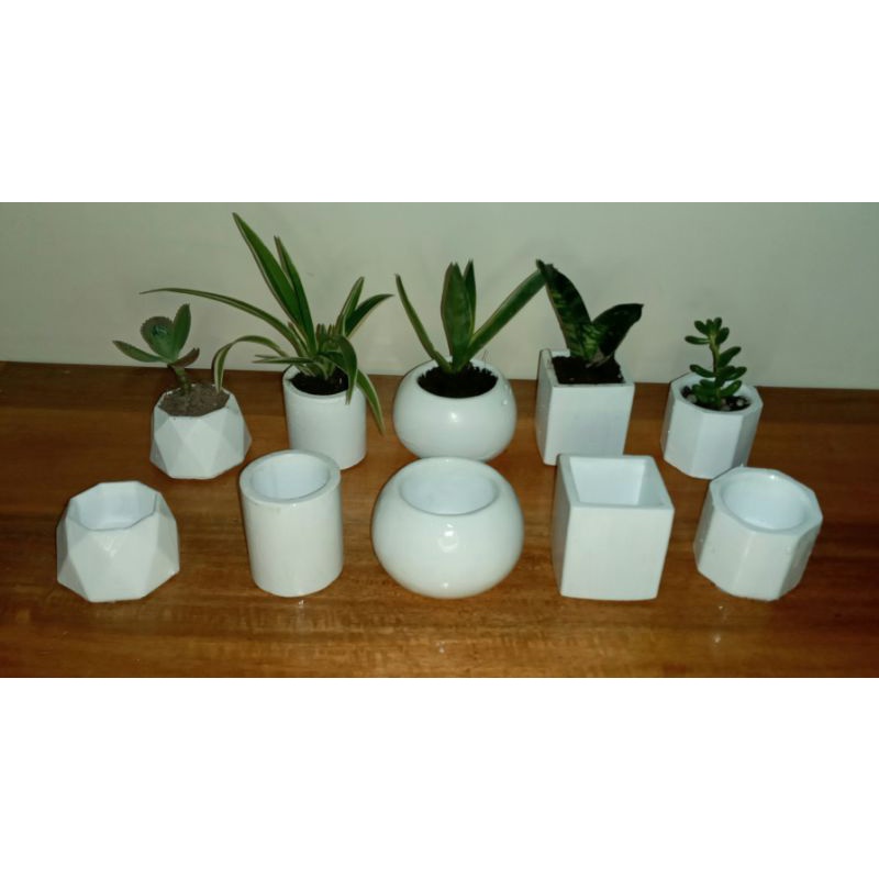 Cute White Mini Pots for Baby Cactus, Succu and Bonsai , Candle Vessel