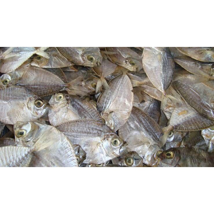 Dried Slipmouth Fish (Sap-Sap) Pinoy Bayanihan Food - 250 grams MijN ...