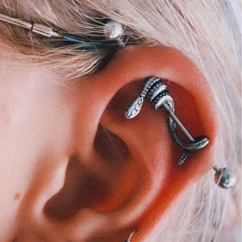 Snake 2024 industrial piercing