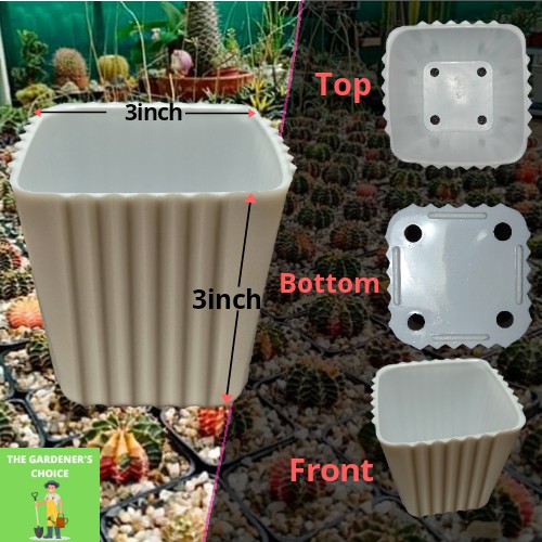 (3x3) Corrugated Square Succulent Cactus Flower Pot  Cod  Durable 