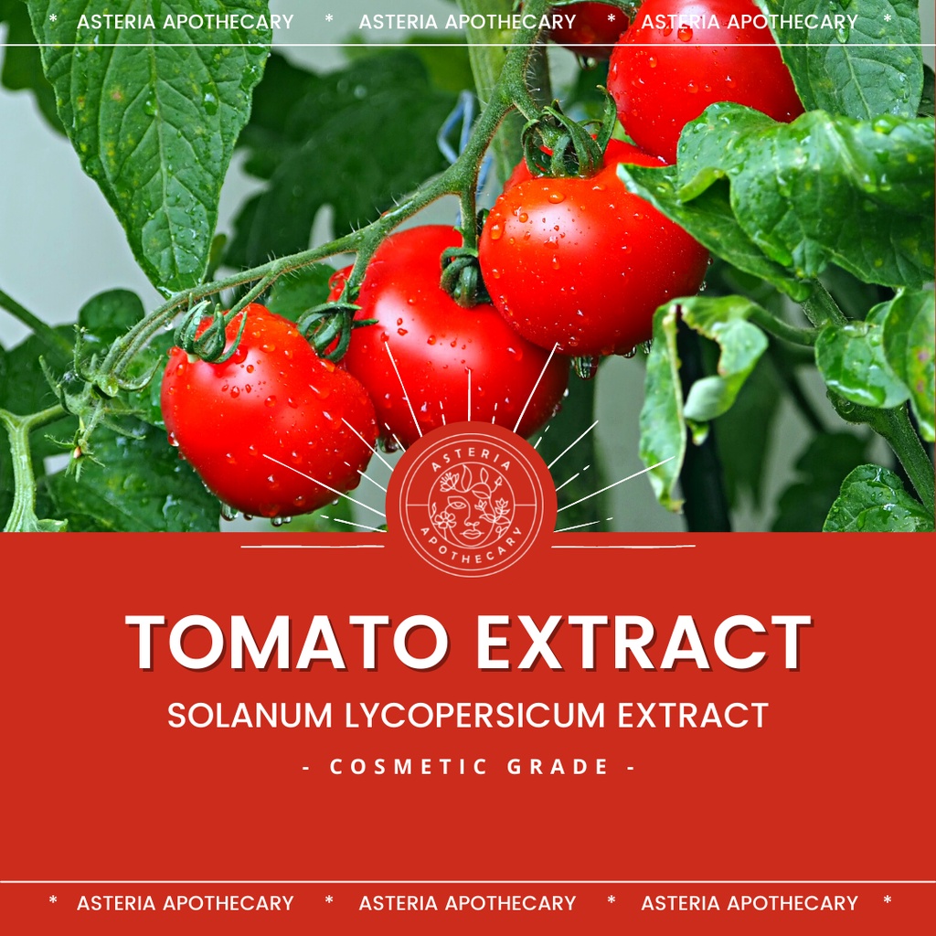 Tomato Extract Botanical Extract 30mL & 100mL Asteria Apothecary