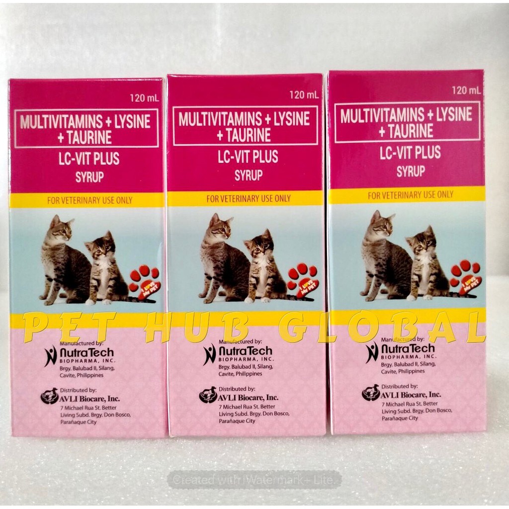 Vitamins best sale for kittens