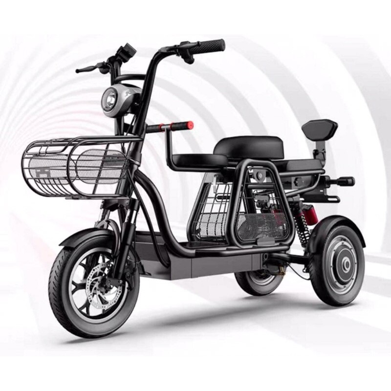 48v 11A MZ Electric Bike with Wheels Seater E Bike with Basket