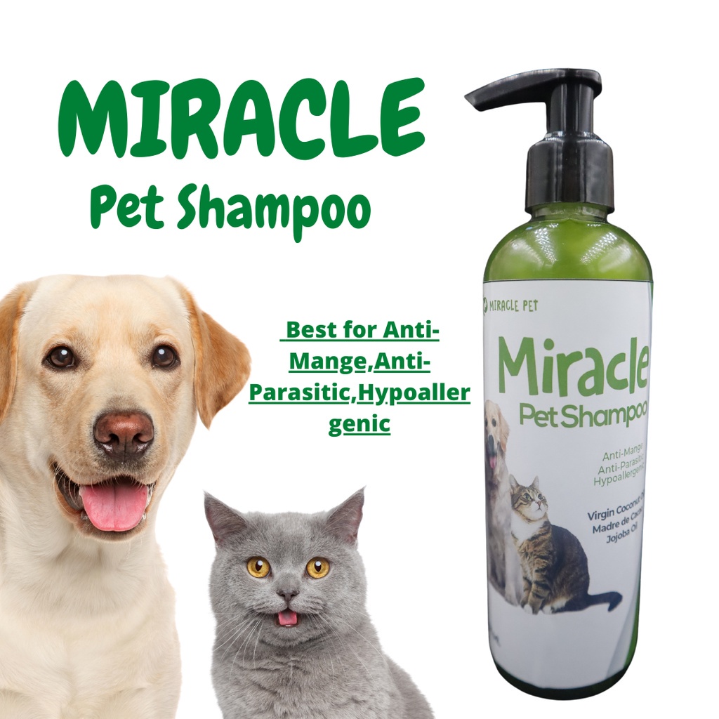 anti mange for dogs ♟[CAT CUTIE]Legit 100 Miracle Pet Shampoo Best for