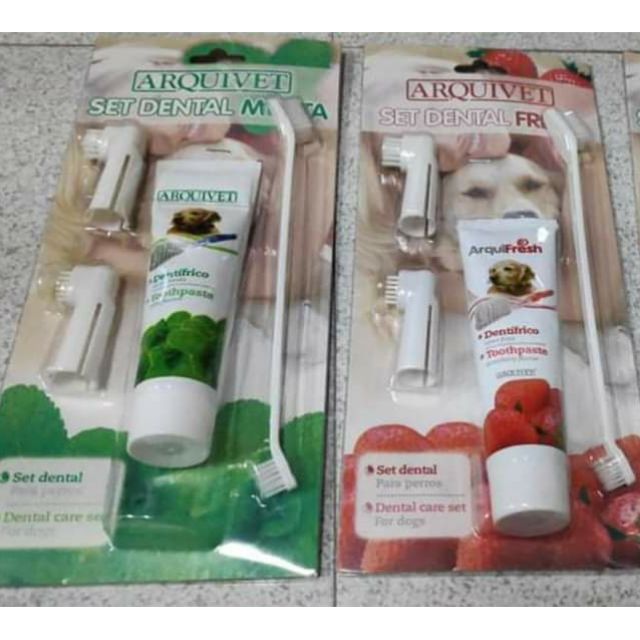 Arquivet toothpaste and toothbrush set Shopee Philippines