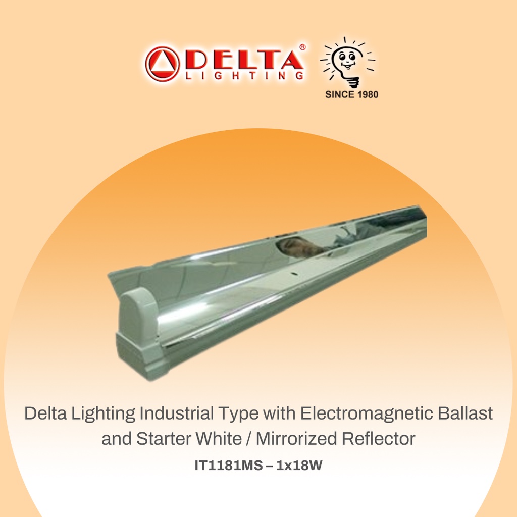 Delta Lighting Industrial Type Fixture Ballast, Starter