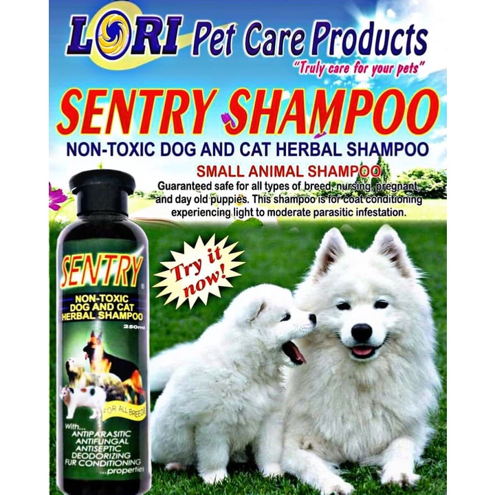 Sentry shampoo store