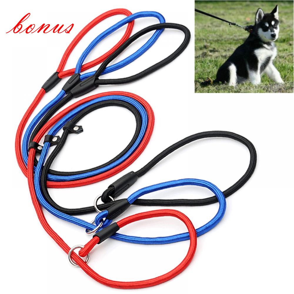 Dog training clearance leash