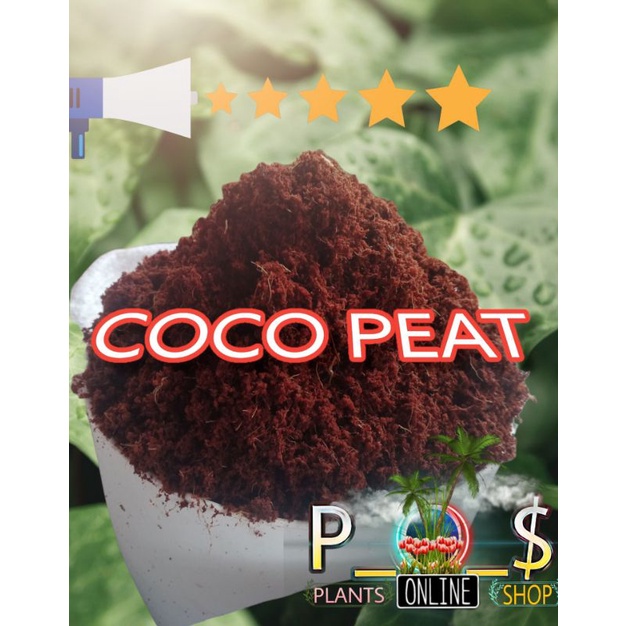 2kg COCOPEAT (HIGH QUALITY) SCREEN COCOPEAT/PINONG BUNOT. | Shopee ...