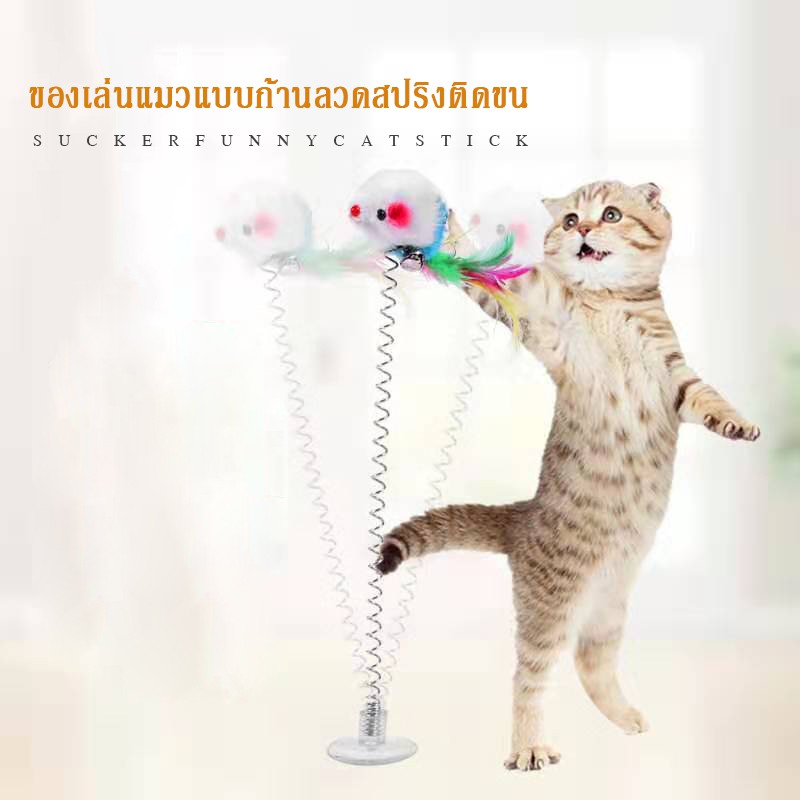 Wooden Cat Toy Spring Cat Toy Stem Spring Wire Cat Toy | Shopee Philippines