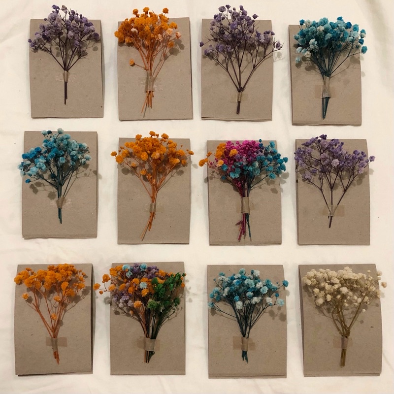 BEST PRICE Dried Gypsophila Baby’s Breath (Real Flowers) Shopee Philippines