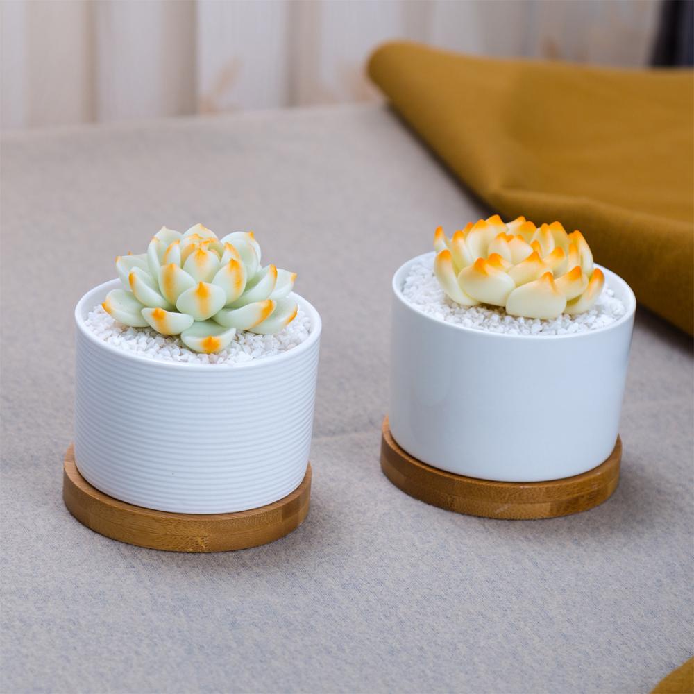 7.5 Cm. Glossy-Type Cylindrical Ceramic Plant Pot Horizontal Linear ...