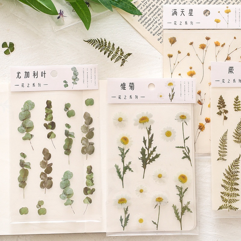 6 designs vintage transparent PET sticker pack gypsophila flowers retro ...