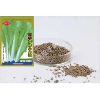 100pcs Pechay Seeds Yellow Miao Chinese Cabbage Seeds Vegetable Seeds ...