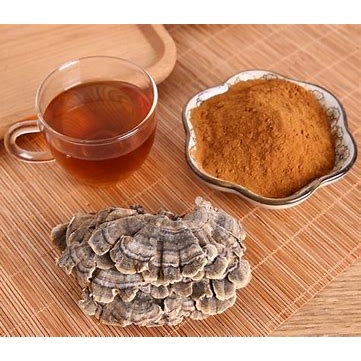 100-200g 50:1-Turkey-Tail-Mushroom Extract Powder Turkey-Tail-Mushroom  Coriolus Versicolor Kosher&HALAL certificated | Shopee Philippines