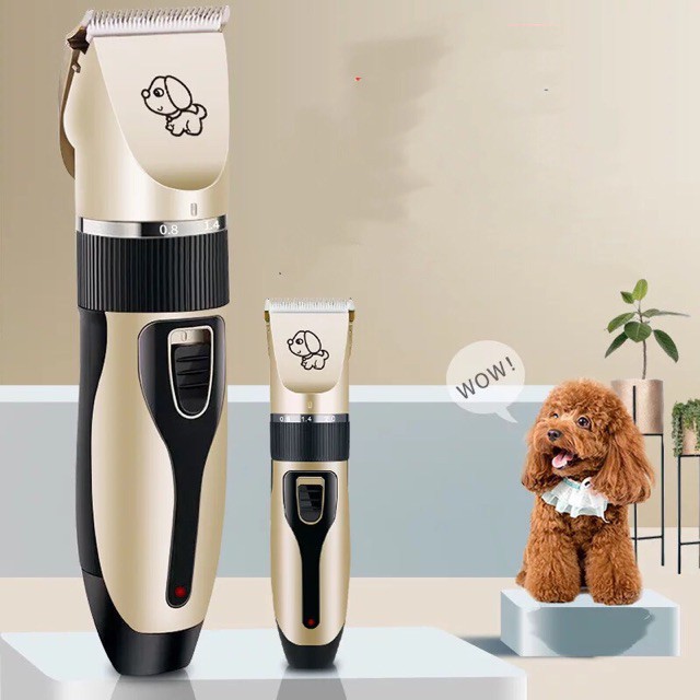 Pet razor 2024