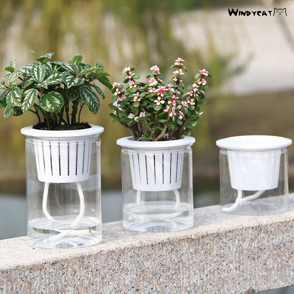 1pc Acrylic Flower Vase Hydroponic Flower Arrangement Holder Simplicity  Plant Container Transparent Utensils Ph…