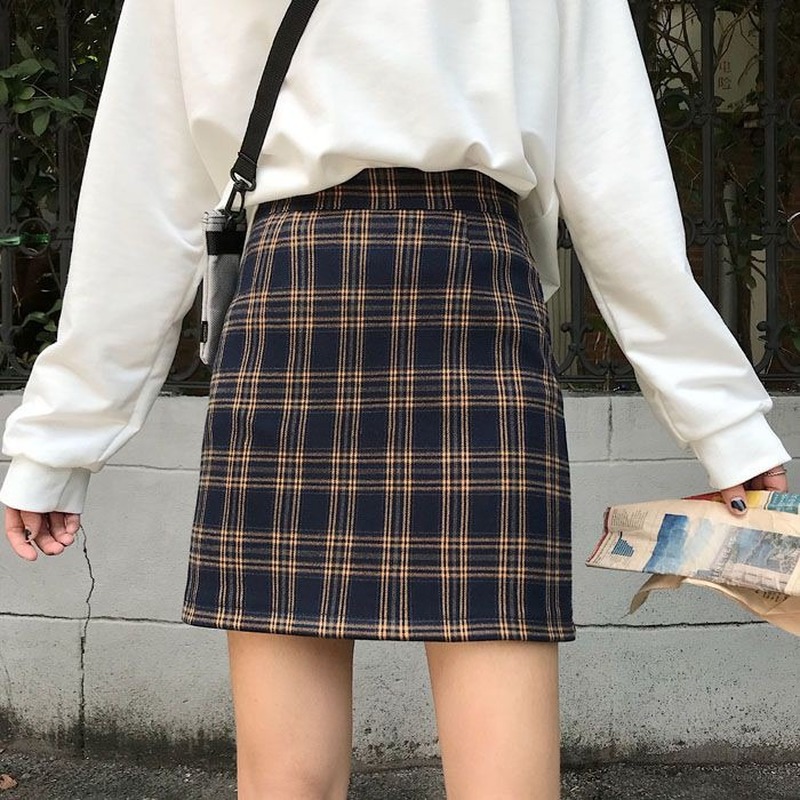 A line 2024 skirt korean