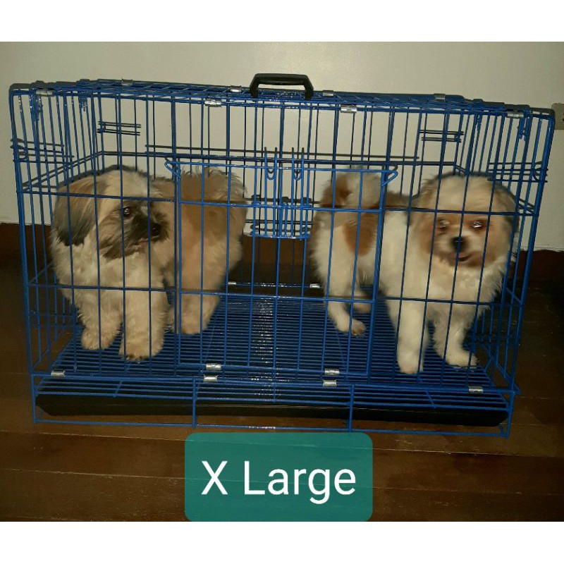 Large dog 2024 cage size