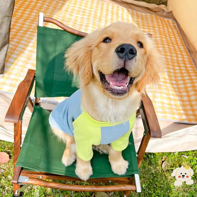 Plain Dog Clothes Combination Of Premium Imported Soft Cool Materials Shopee Philippines