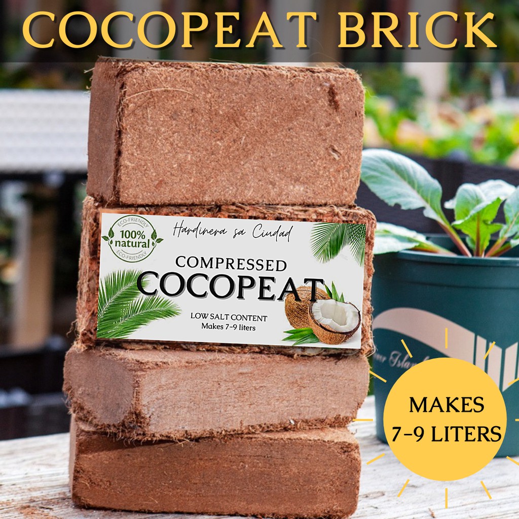 How to use Coco Coir in YOUR Garden 