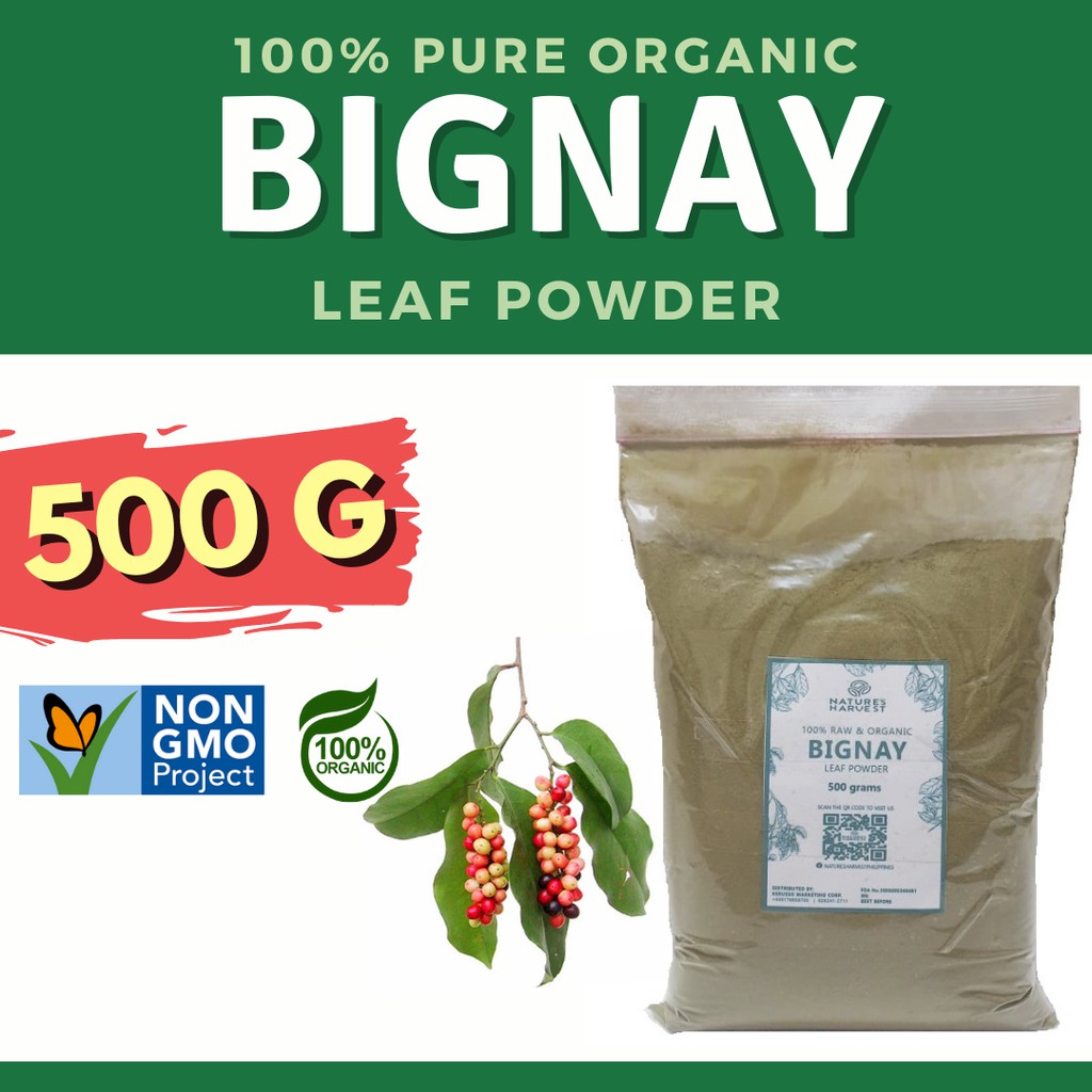 Bignay Powder Organic 1000 grams | Shopee Philippines