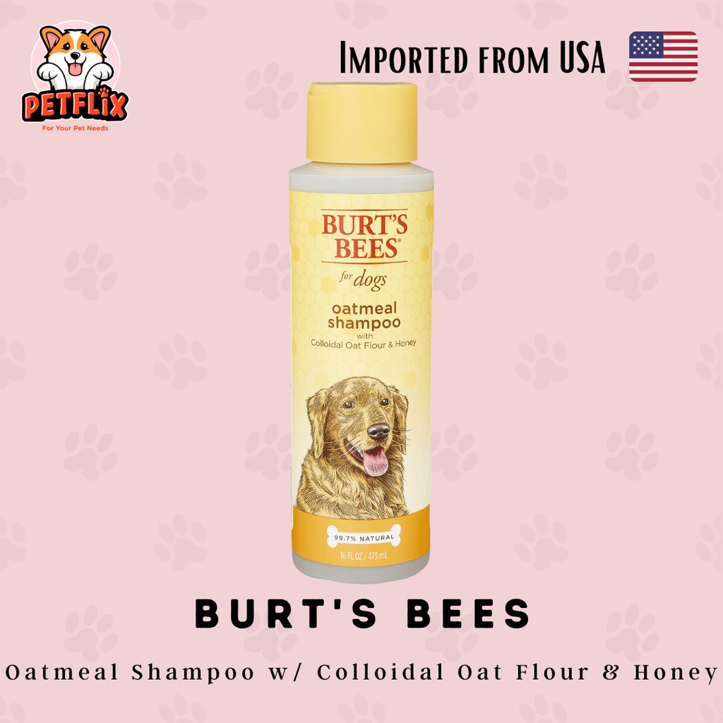 Burt's Bees Natural Oatmeal Shampoo with Colloidal Oat Flour & Honey for Dogs w/ Sensitive Skin