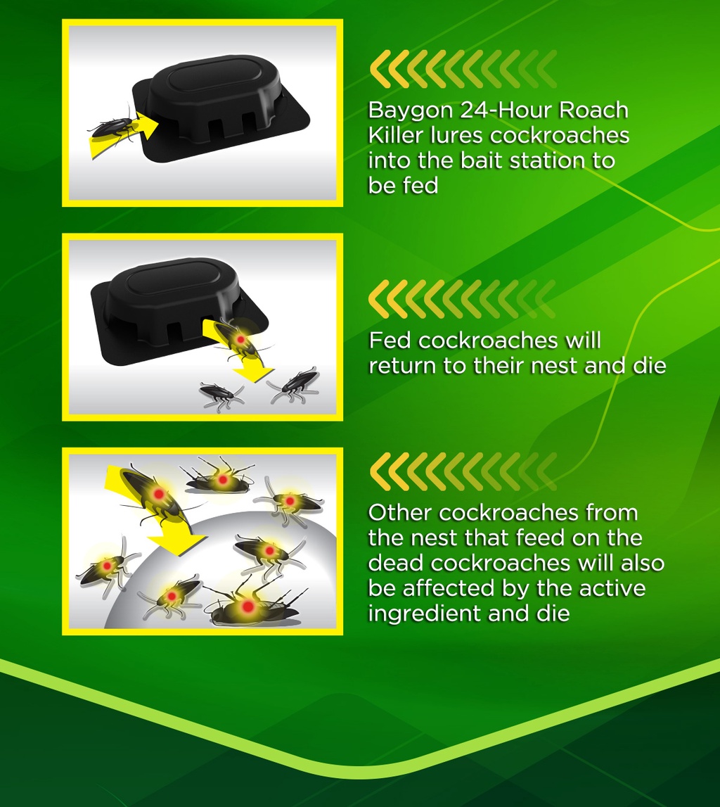 Baygon 24-Hour Roach Killer and Crawling Insect Killer Aerosol - 500ml ...