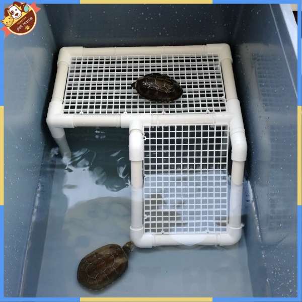 Turtle Drying Platform Climbing Platform Customized Size High Water ...