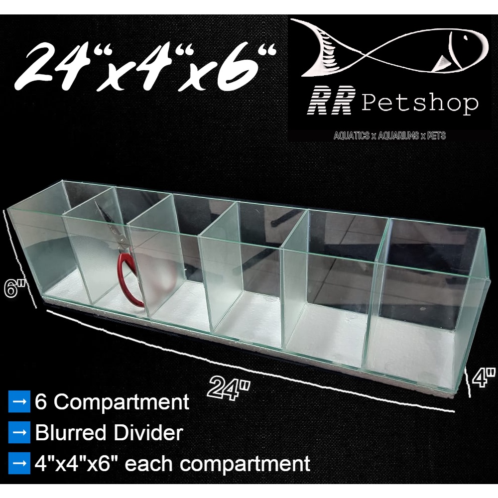 BETTA TANK l AQUARIUM DIVIDER 24x4x6 Shopee Philippines