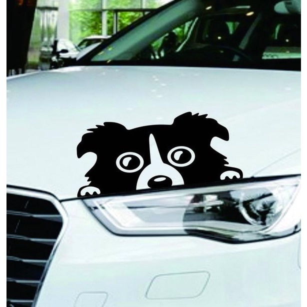 White And Black Graffiti Doodle Text Print Pet Car Seat Cover