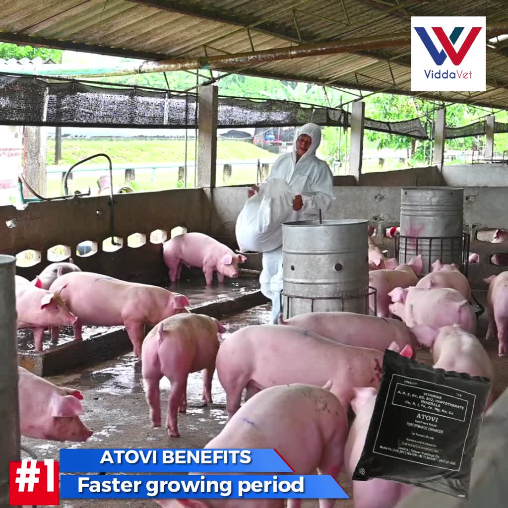 1 kilo ATOVI Powder Atovi nanotechnology Atovi powder Atovi original ...