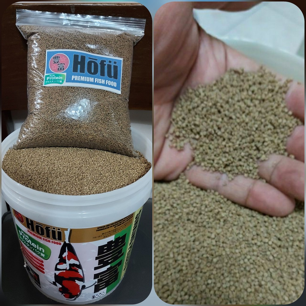 Hofu Premium Fish Food (RepackedAuthorized Reseller) Shopee Philippines